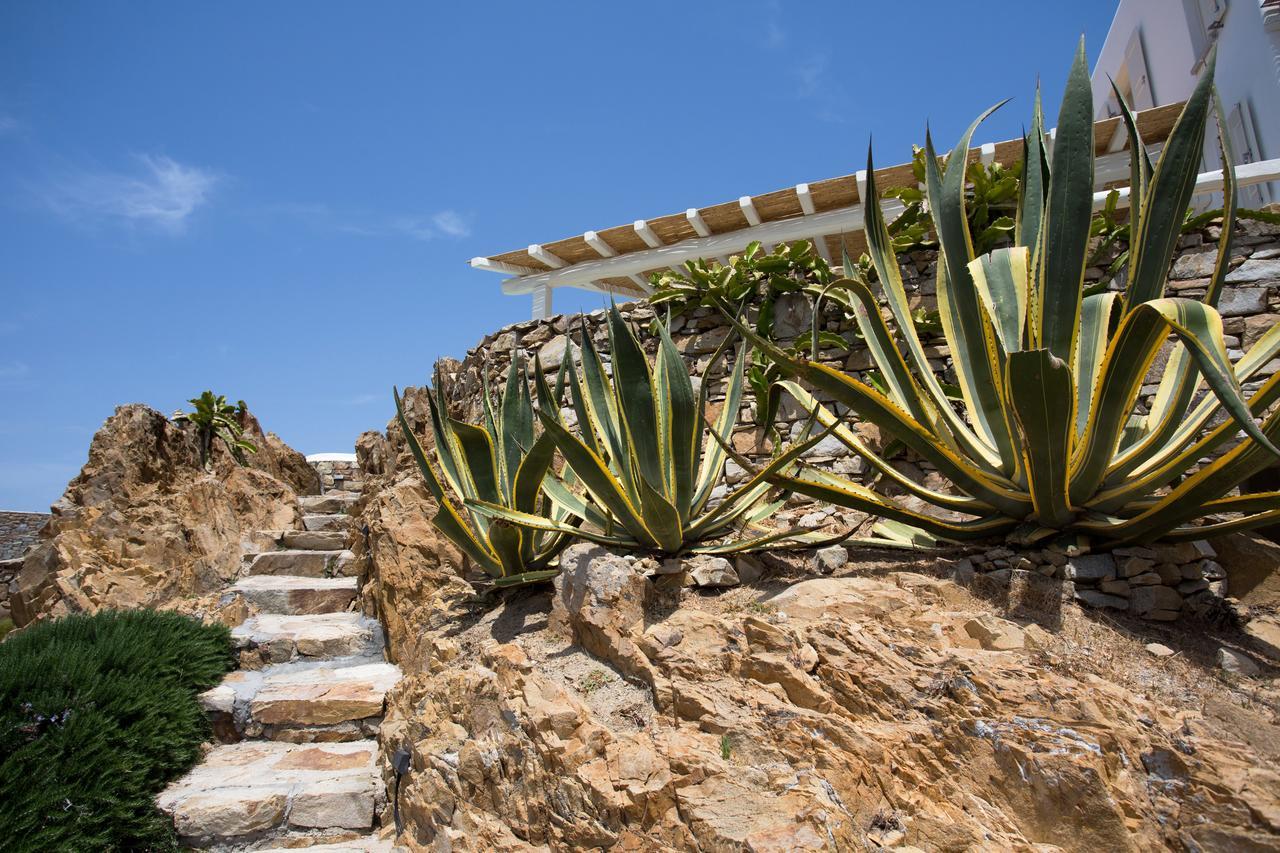 Salty Houses Kalo Livadi Exterior photo